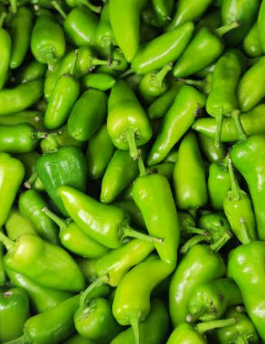 Frische Grünes Chilli (Dick) (Green Bullet Chilli)